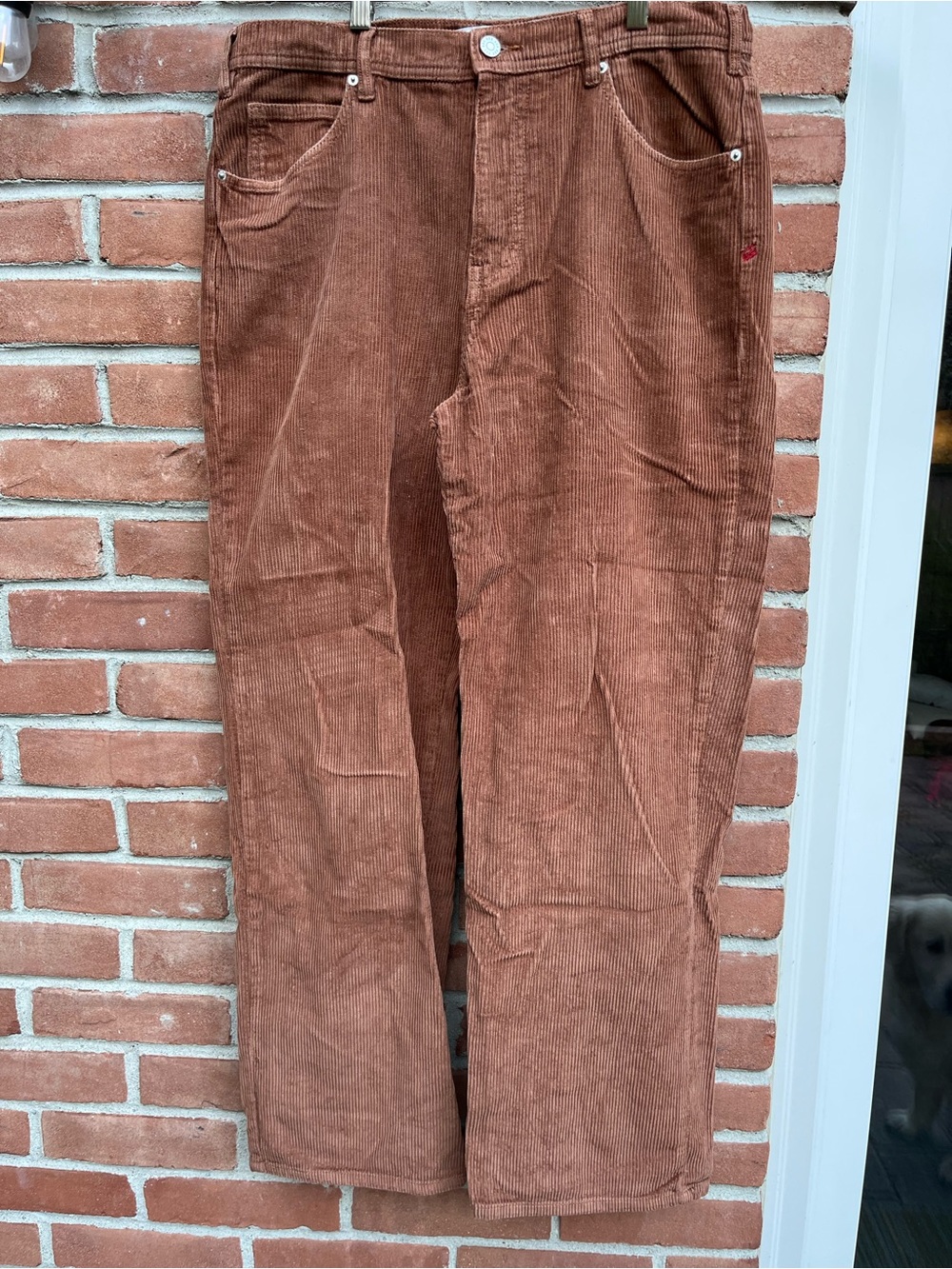 BDG Men's Brown Corduroy Pants